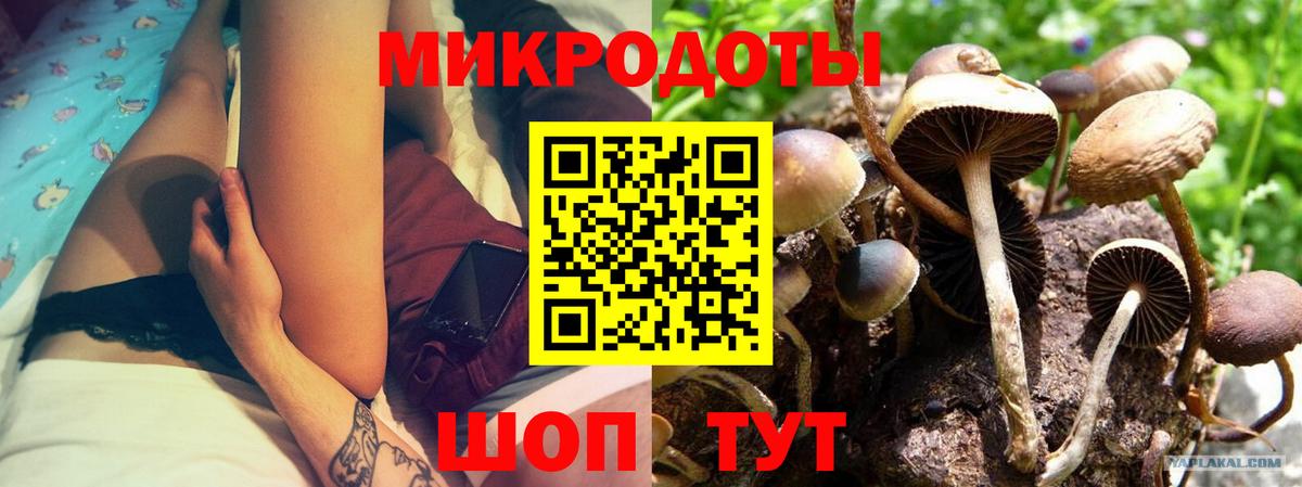 Псилоцибиновые грибы мицелий Королёв