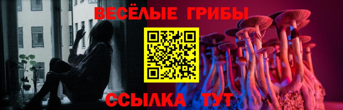наркошоп  Вход с VPN  Королёв  Галлюциногенные грибы мухоморы 